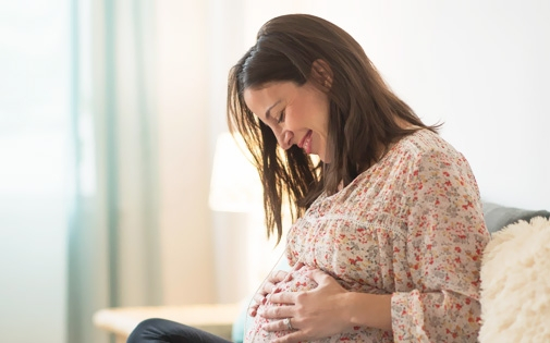 Fetal Development by Trimester